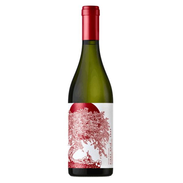 Astley Pinot Noir 6 Bottles) Stourport-on-Severn, Worcestershire, England