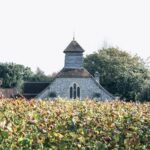 All Angels Sparkling Rosé 2018 (6 Bottles) Enborne, Berkshire, England - Image 7