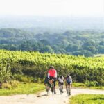 Ambriel Blanc de Noirs 2016 (6 Bottles) Pullborough, West Sussex, England - Image 6