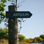 Artelium Artefact #7 Motley Wild (6 Bottles) Streat, East Sussex, England - Image 7