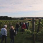 Astley Pinot Noir 6 Bottles) Stourport-on-Severn, Worcestershire, England - Image 6