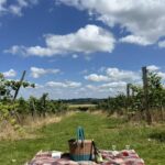 Astley Pinot Noir 6 Bottles) Stourport-on-Severn, Worcestershire, England - Image 3