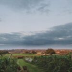 Astley Pinot Noir 6 Bottles) Stourport-on-Severn, Worcestershire, England - Image 4
