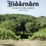 Biddenden Sparkling Ortega Demi Sec 2021 (6 Bottles) Biddenden, Kent, England - Image 3