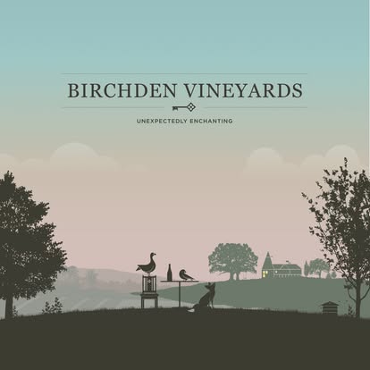 Birchden The Foxy Vixen Pinot Rosé (6 Bottles) Groombridge, East Sussex, England - Image 4