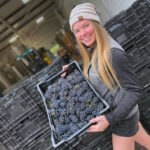 Black Chalk Inversion Sparkling Blanc de Noirs 2020 (6 Bottles) Andover, Hampshire, England - Image 5
