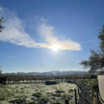 Black Chalk Inversion Sparkling Blanc de Noirs 2020 (6 Bottles) Andover, Hampshire, England - Image 6