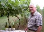 Bow in the Cloud Nine White Blend (6 Bottles), Malmesbury, Wiltshire, England - Image 3