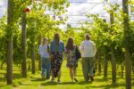 Brabourne Classic Cuvée 2019 (6 bottles) Ashford, Kent, England - Image 4