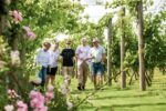 Brabourne Classic Cuvée 2019 (6 bottles) Ashford, Kent, England - Image 6
