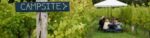 Brissenden English Sparkling Brut (6 Bottles) Ashford, Kent, England - Image 5