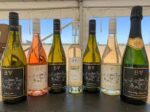 Burn Valley Bacchus 2023 (6 Bottles) Fakenham, Norfolk, England - Image 6