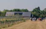 Burnt House Vineyard Bacchus 2023 (6 Bottles) Fakenham, Norfolk, England - Image 7