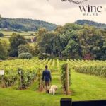 Coddington Vineyard Bacchus 2021 (6 Bottles) Ledbury, Herefordshire, England - Image 4