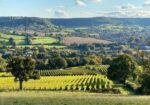 Cotswold Hills Fizzy White (12 Cans) Cirencester, Gloucestershire, England - Image 6