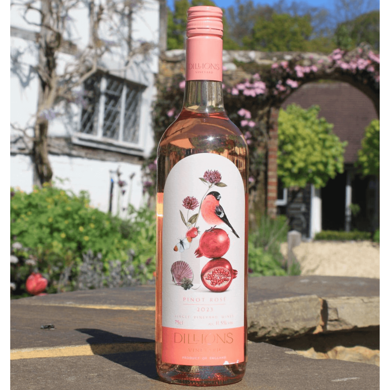 Dillions Vineyard Pinot Rosé 2023 (6 Bottles) Staplefield, West Sussex, England