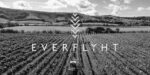 Everflyht Sparkling Brut NV (6 Bottles) Ditchling, East Sussex, England - Image 2