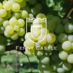 Fenny Castle Sparkling Rose (6 Bottles) Wells, Somerset, England - Image 2
