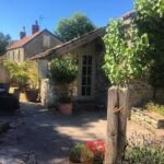 Fenny Castle Sparkling Rose (6 Bottles) Wells, Somerset, England - Image 4