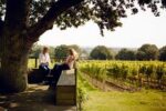 Gusbourne Down Field Vineyard Blanc de Meuniers 2018 (6 Bottles) Appledore, Kent, England - Image 6