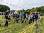 Greyfriars Vineyard Classic Cuvée 2015 (6 Bottles) Puttenham, Surrey, England - Image 4