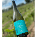 Gwynfyd Môn Solaris White 2021 (6 Bottles) Dwyran, Llanfairpwllgwyngyll, Wales