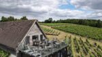 Halfpenny Green Wine Estate Sparkling Brut 2021 (6 Bottles) Staffordshire, England - Image 6
