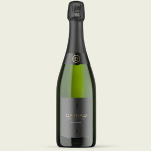 Llanerch Vintage Sparkling White 2013 (6 Bottles) Pontyclun, Vale of Glamorgan, Wales