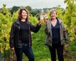 Off The Line Hip Rosé (6 Bottles) Hellingly, East Sussex, England - Image 9