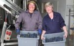 Off The Line Hip Rosé (6 Bottles) Hellingly, East Sussex, England - Image 7