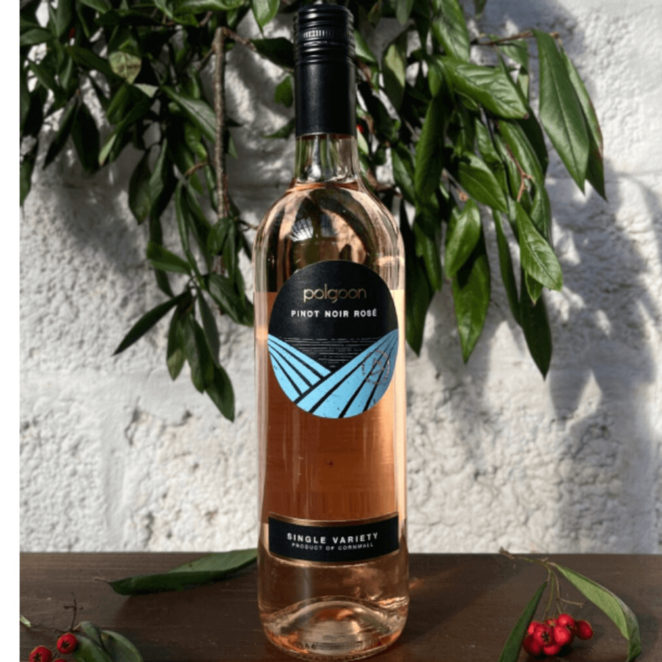 Polgoon Sparkling Pinot Noir Rose 2021 (6 Bottles) Penzance, Cornwall, England - Image 20