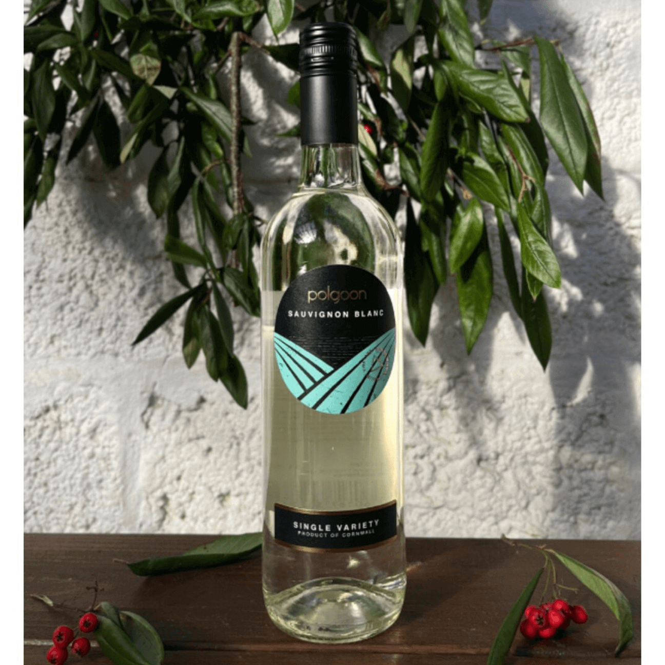 Polgoon Sauvignon Blanc 2023 (6 Bottles) Penzance, Cornwall, England