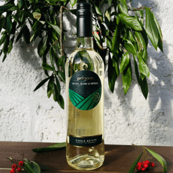 Polgoon Seyval Blanc & Ortega 2022 (6 Bottles) Penzance, Cornwall, England