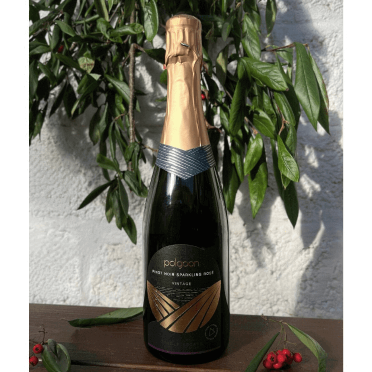 Polgoon Sparkling Pinot Noir Rose 2021 (6 Bottles) Penzance, Cornwall, England