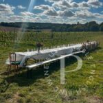 Penn Croft Sparkling Rosé 2020 (6 Bottles) Crondall, Hampshire, England - Image 6