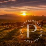 Penn Croft Sparkling Rosé 2020 (6 Bottles) Crondall, Hampshire, England - Image 7