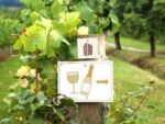 Quoins Vineyard Rosé (6 Bottles) Bradford-on-Avon, Wiltshire, England - Image 7