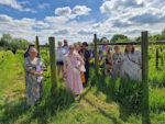 Quoins Vineyard Rosé (6 Bottles) Bradford-on-Avon, Wiltshire, England - Image 9