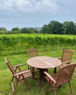 Road Green English Dry White Wine 2022 (6 Bottles) Dursley, Gloucestershire, England - Image 5