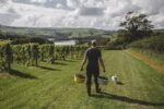 Sandridge Barton Blanc de Noirs 2020 (6 Bottles) Stoke Gabriel, Devon, England - Image 7