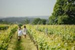 Stopham Estate Pinot Gris 2023 (6 Bottles) Pulborough, West Sussex, England - Image 9