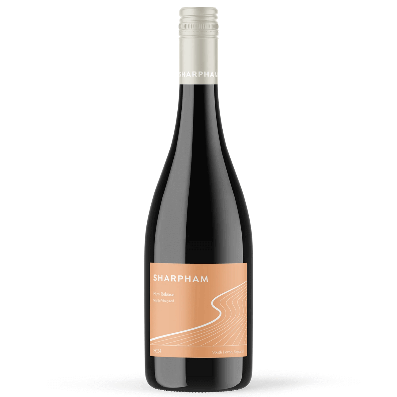 Sandridge Barton Bacchus 2022 (6 Bottles) Stoke Gabriel, Devon, England - Image 13