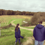 Bluebell Ashdown Estate White Blend 2020 (6 Bottles) Furners Green, East Sussex, England - Image 5