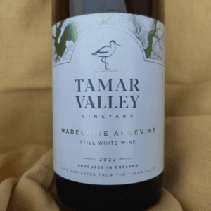 Tamar Valley Madeleine Angevine 2024 (6 Bottles) Bere Alston, Devon, England