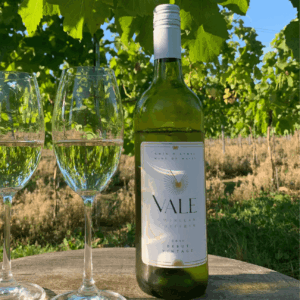 Vale Vineyard Solaris White Wine (6 Bottles) Llandyrnog, Denbigh, Wales