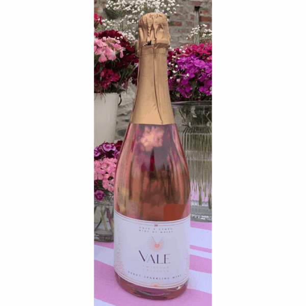 Vale Vineyard Sparkling Rosé (6 Bottles) Llandyrnog, Denbigh, Wales