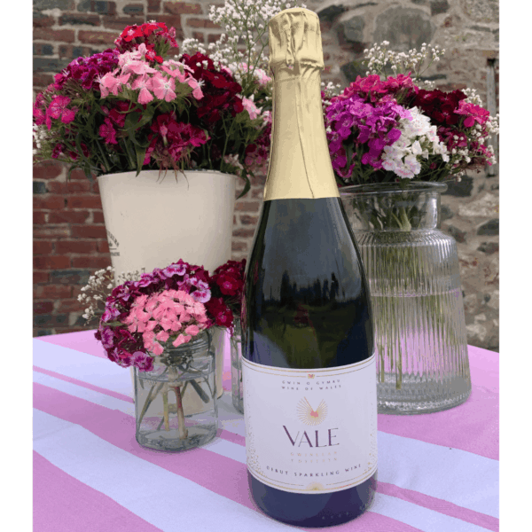 Vale Vineyard Sparkling White 2021 (6 Bottles) Llandyrnog, Denbigh, Wales
