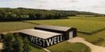 Westwell Multi Vintage Pinot Meunier (6 Bottles) Westwell, Kent, England - Image 2