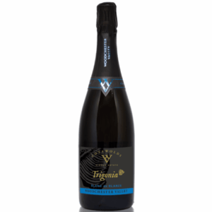 Woodchester Valley Trigonia Series Blanc de Blancs 2016 (6 Bottles) Stroud, Gloucestershire, England