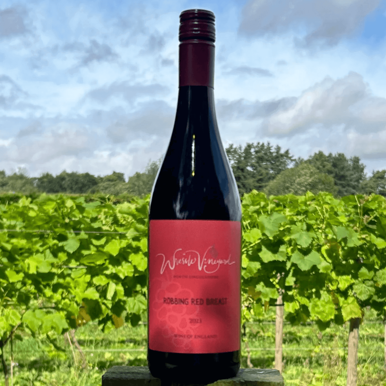 Wressle Robbing Red Breast Rondo 2023 (6 Bottles) Brigg, Lincolnshire, England - Image 10